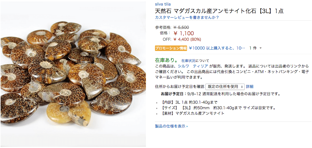 アンモナイト化石